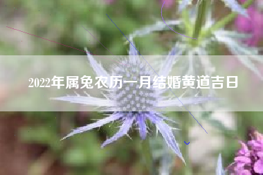 2022年属兔农历一月结婚黄道吉日