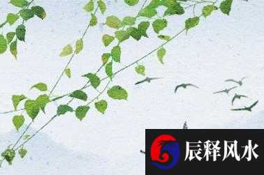 壬水必须身弱为什么 遇丁木癸水可富贵