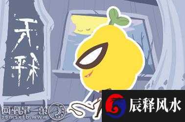 姓名解析