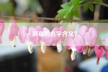 润森的名字含义？