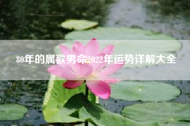 80年的属猴男命2022年运势详解大全
