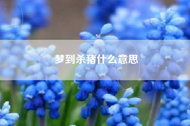梦到杀猪什么意思