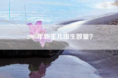 2006年新生儿出生数量？