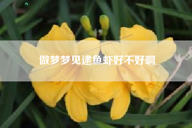 做梦梦见逮鱼虾好不好啊
