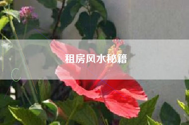 租房风水秘籍