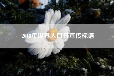 2018年世界人口日宣传标语