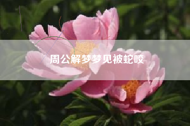 周公解梦梦见被蛇咬