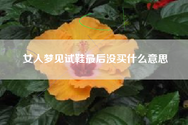 女人梦见试鞋最后没买什么意思