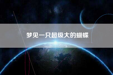 梦见一只超级大的蝴蝶