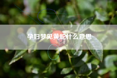 孕妇梦见黄蛇什么意思