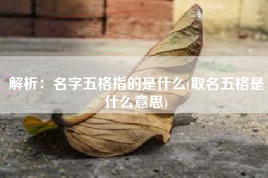 解析：名字五格指的是什么(取名五格是什么意思)
