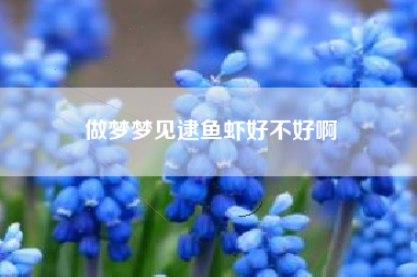 做梦梦见逮鱼虾好不好啊