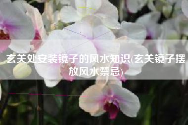 玄关处安装镜子的风水知识(玄关镜子摆放风水禁忌)