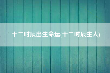 十二时辰出生命运(十二时辰生人)