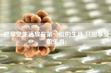 把享受生活放在第一位的生肖(只图享受的生肖)