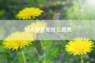 女人梦见蛇什么意思