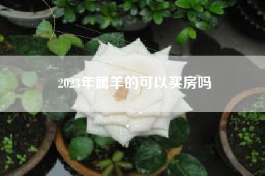 2023年属羊的可以买房吗
