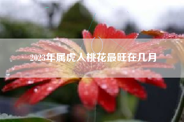 2023年属虎人桃花最旺在几月