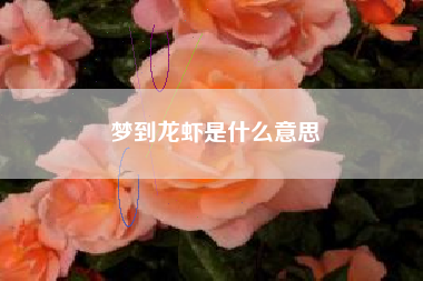 梦到龙虾是什么意思