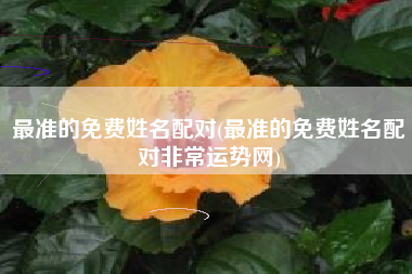 最准的免费姓名配对(最准的免费姓名配对非常运势网)
