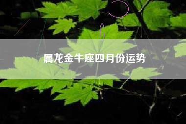 属龙金牛座四月份运势