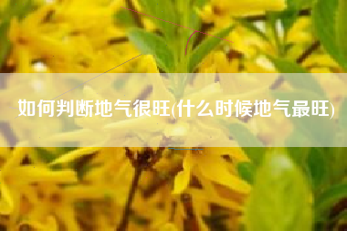 如何判断地气很旺(什么时候地气最旺)
