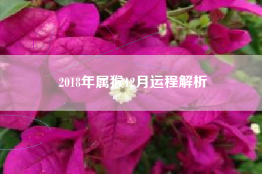 2018年属猴12月运程解析