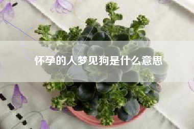 怀孕的人梦见狗是什么意思
