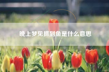 晚上梦见抓到鱼是什么意思