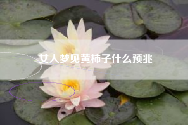女人梦见黄柿子什么预兆