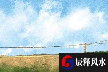 八字网13