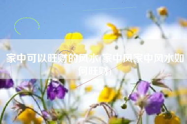 家中可以旺财的风水(家中风家中风水如何旺财)