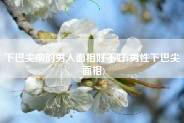 下巴尖削的男人面相好不好(男性下巴尖 面相)