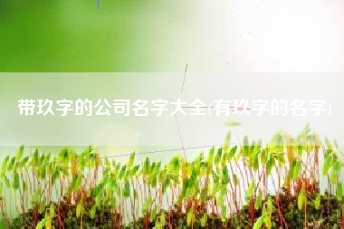 带玖字的公司名字大全(有玖字的名字)