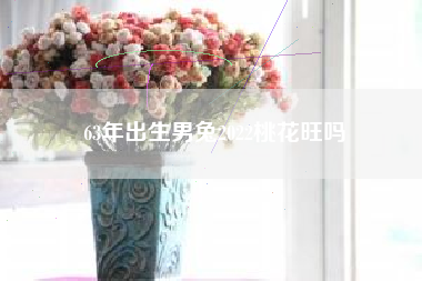 63年出生男兔2022桃花旺吗