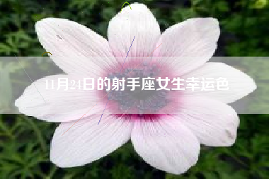 11月24日的射手座女生幸运色