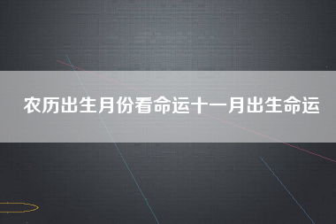 农历出生月份看命运十一月出生命运