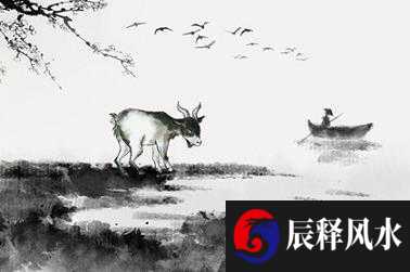 1969年属鸡男士2021年运势