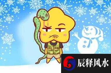 相术