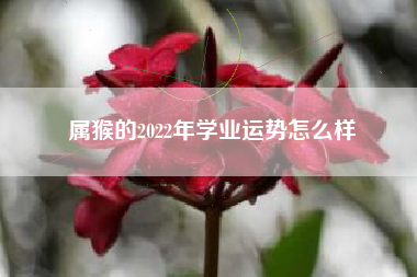 属猴的2022年学业运势怎么样