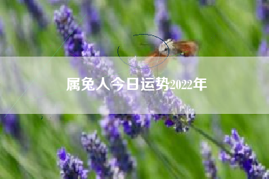 属兔人今日运势2022年