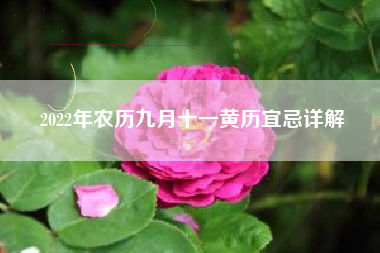 2022年农历九月十一黄历宜忌详解