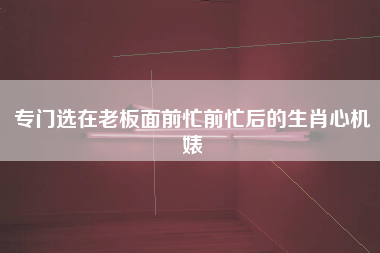 专门选在老板面前忙前忙后的生肖心机婊