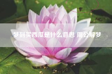 梦到买西瓜是什么意思 周公解梦