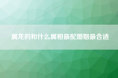 属龙的和什么属相最配婚姻最合适