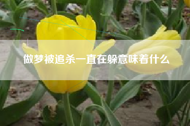做梦被追杀一直在躲意味着什么