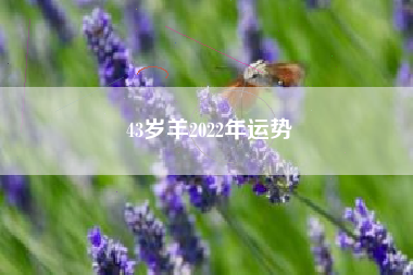 43岁羊2022年运势