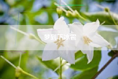 梦到下冰雹