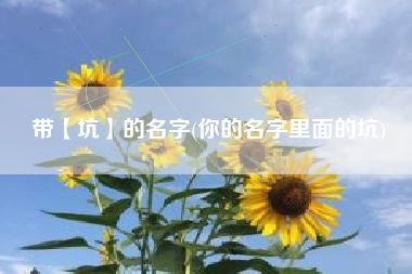 带【坑】的名字(你的名字里面的坑)