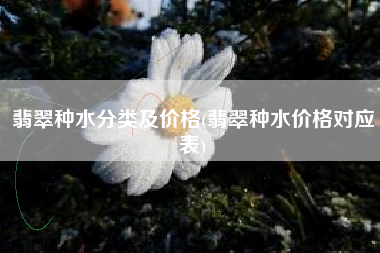 翡翠种水分类及价格(翡翠种水价格对应表)